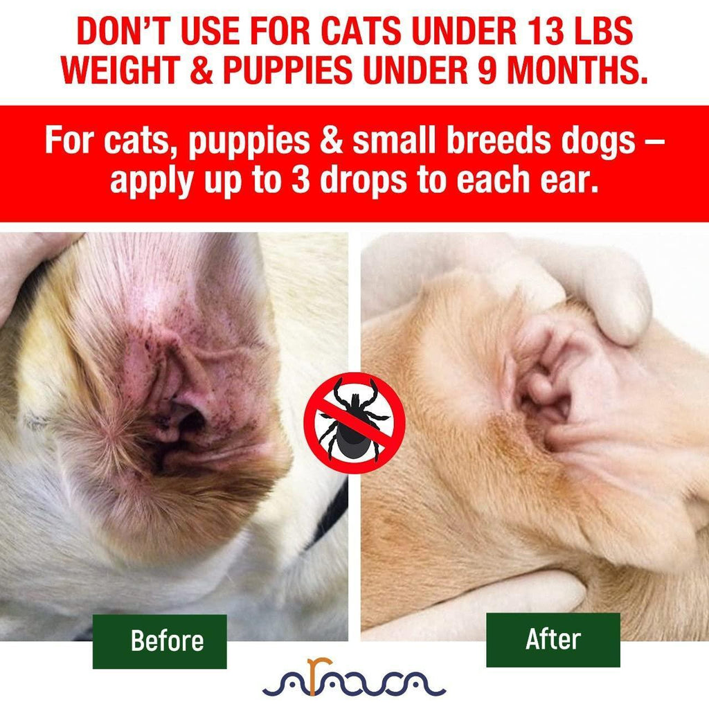 Stop Ear Mite Itch Natural Treatment
