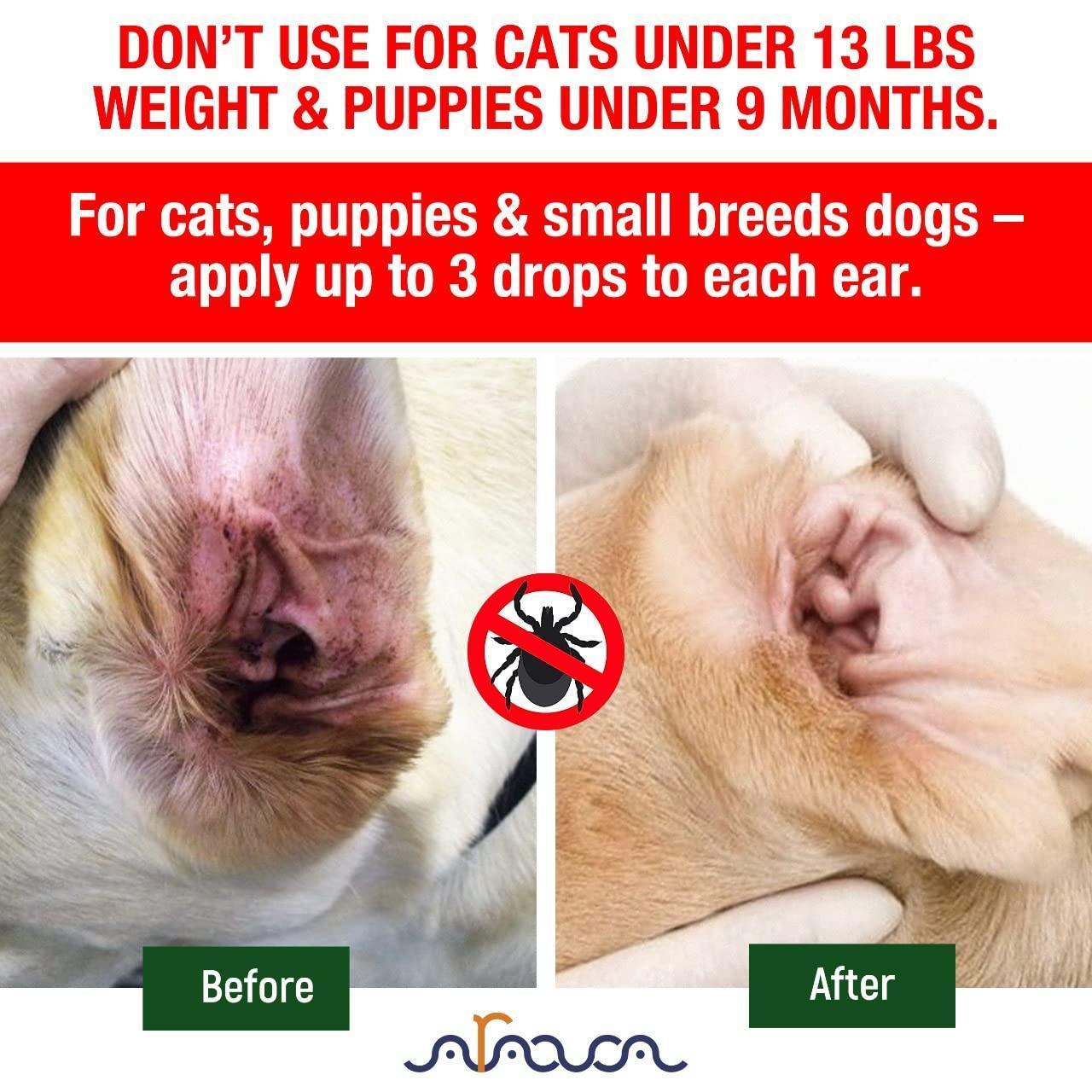 Stop Ear Mite Itch Natural Treatment