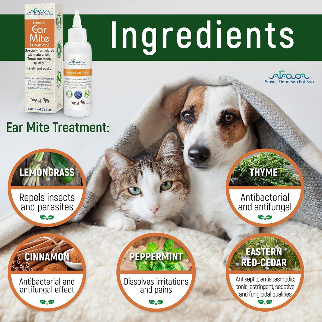 Stop Ear Mite Itch Natural Treatment