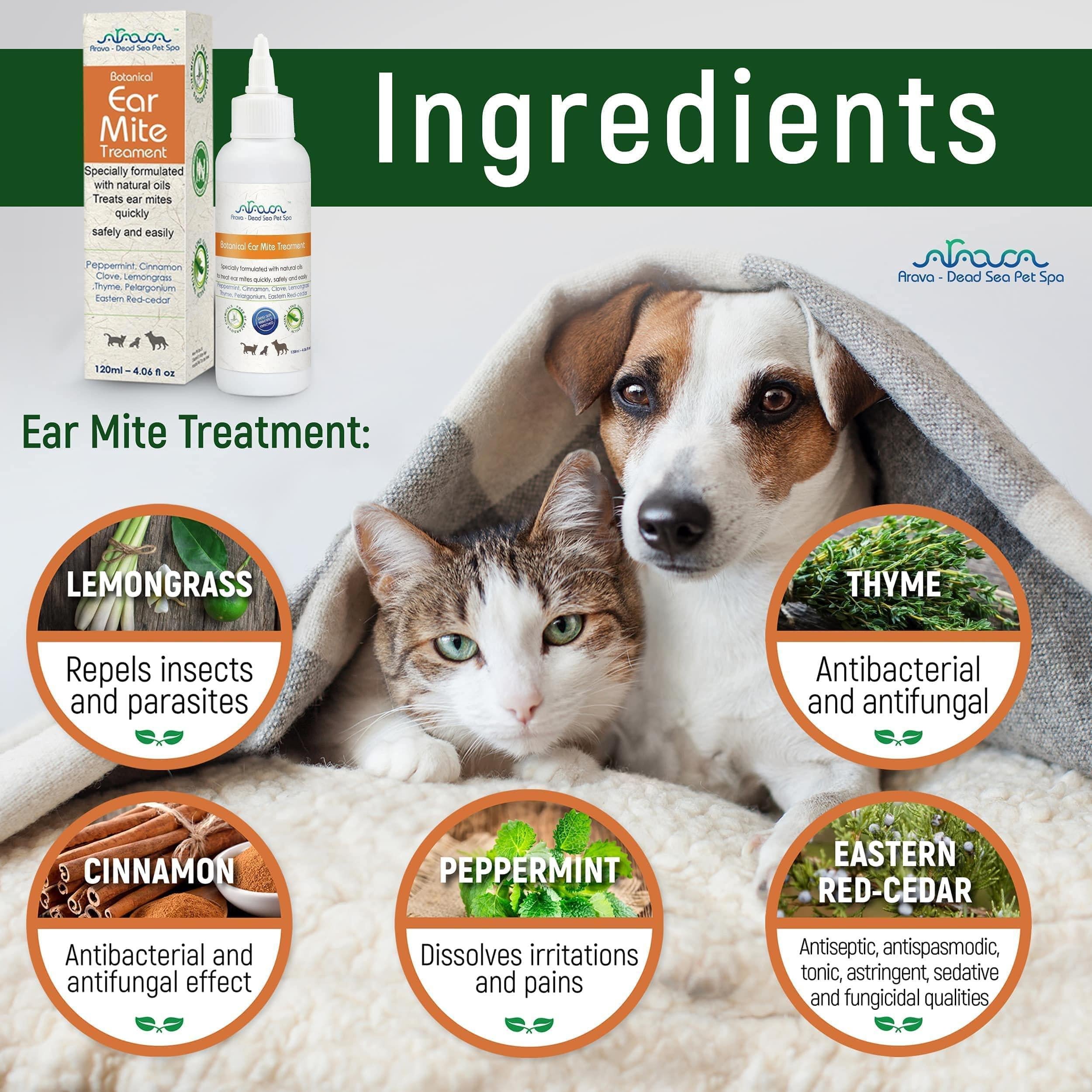 Stop Ear Mite Itch Natural Treatment