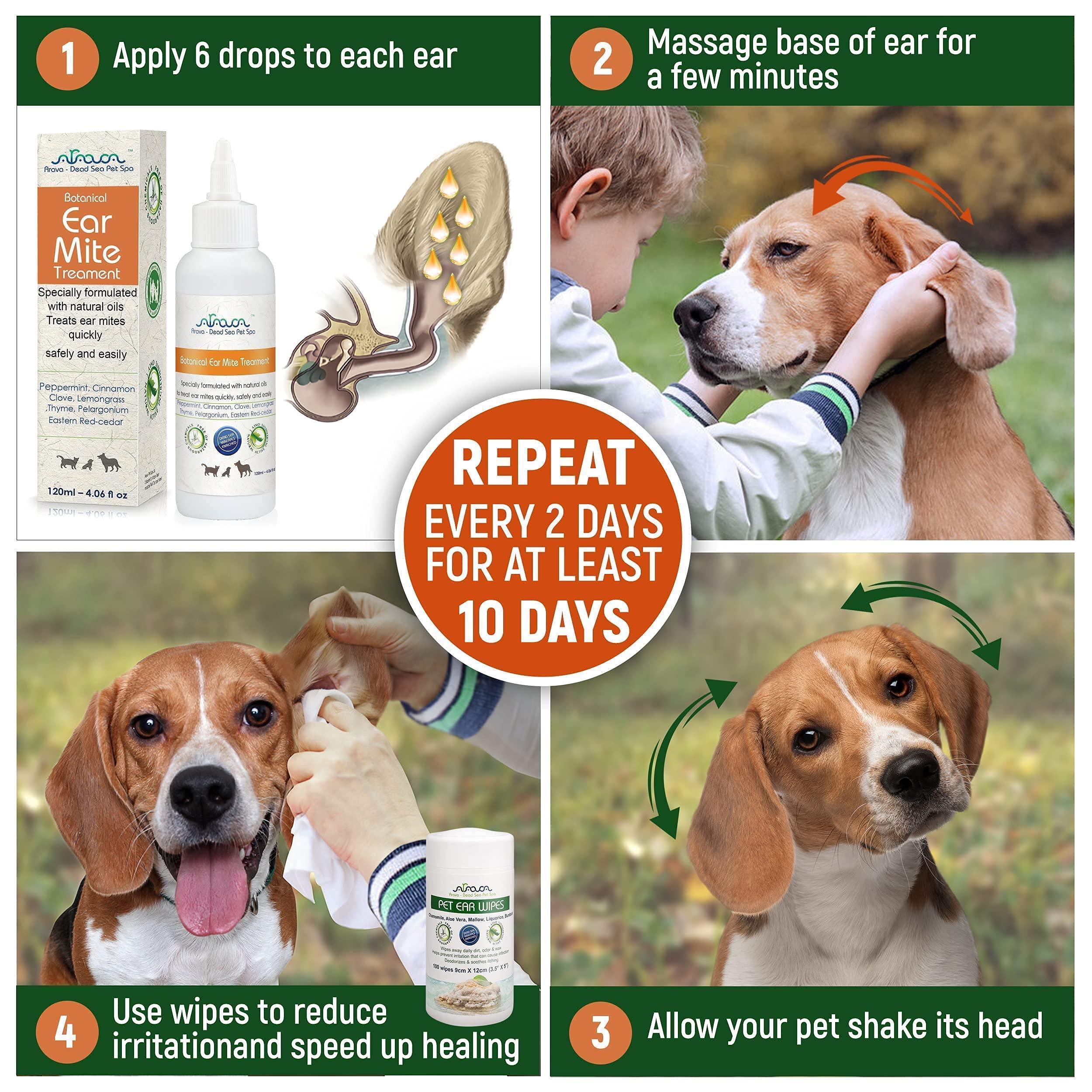 Stop Ear Mite Itch Natural Treatment