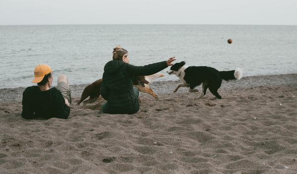 Pia S. | Bernese